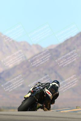 media/Jan-13-2024-SoCal Trackdays (Sat) [[9c032fe5aa]]/Turn 9 Backside (110pm)/